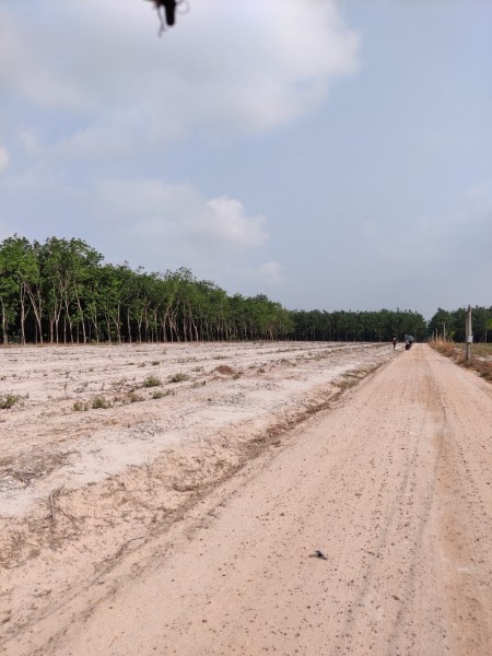 Chính chủ cần bán 1600m2 đất ở Suối Dây, Tân Châu, Tây Ninh