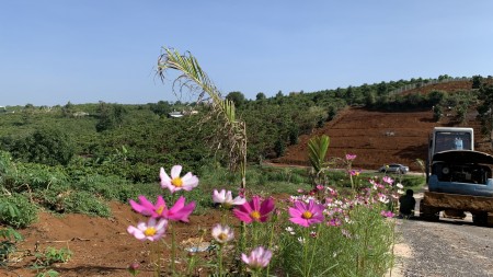 Đi đến slide 6