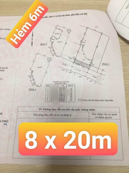 Nhà HXH 3 tầng kiểu Pháp dt 8 x 20m Ngân hàng dí chủ giảm ngay 1 tỷ