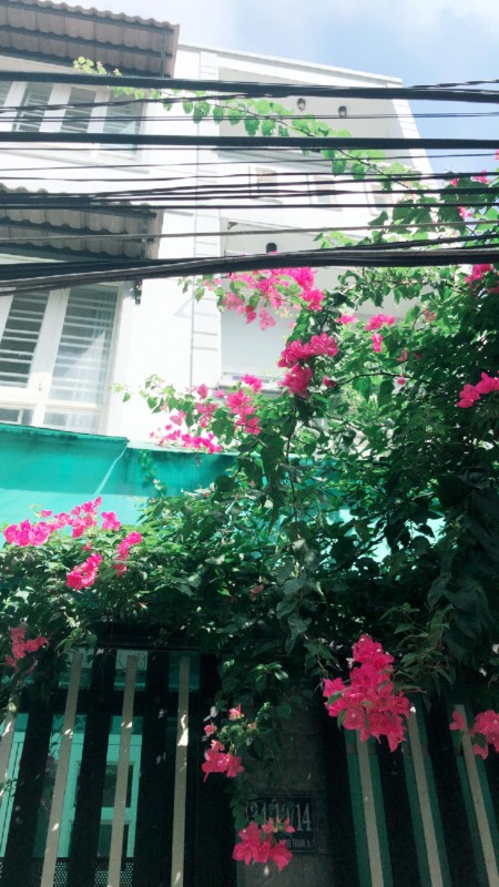 Đi đến slide 6