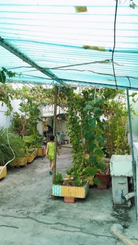 Đi đến slide 5