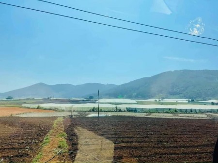 Đất đầu tư để xây dựng Homestay Lâm Đồng chỉ hơn 400triệu