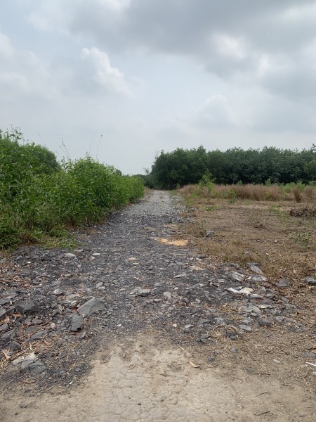 Đi đến slide 6