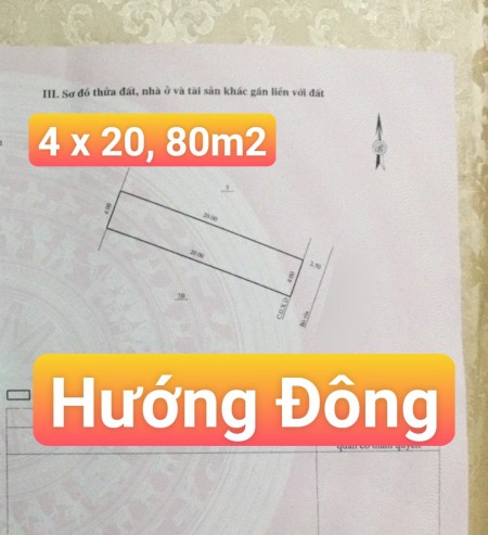 HXH Tân Hương dt (4 x20m) 80m2 giá 6 tỷ 701 triệu