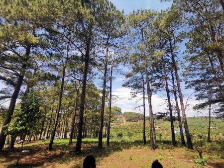 Đi đến slide 9