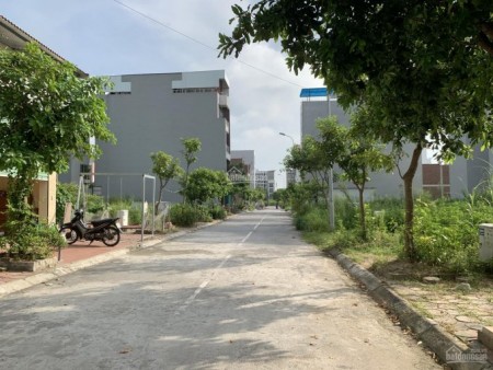 Bán đất Trâu Quỳ Tái định cư Vườn hoa áp góc 40m2. Hiếm. LH 0982852808