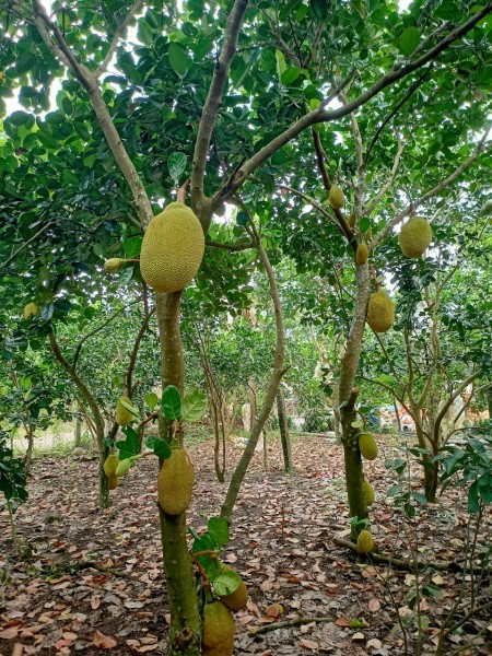 Đi đến slide 2