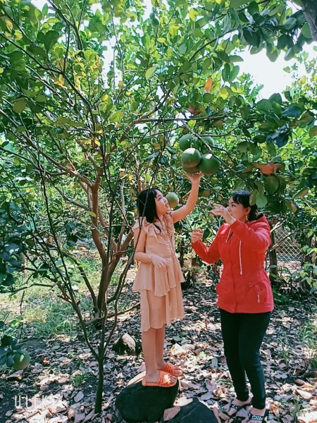 Đi đến slide 7
