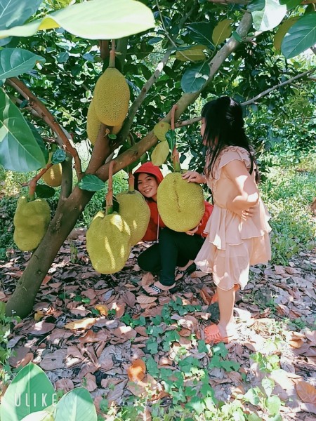 Đi đến slide 8
