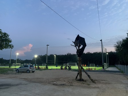 Đi đến slide 3