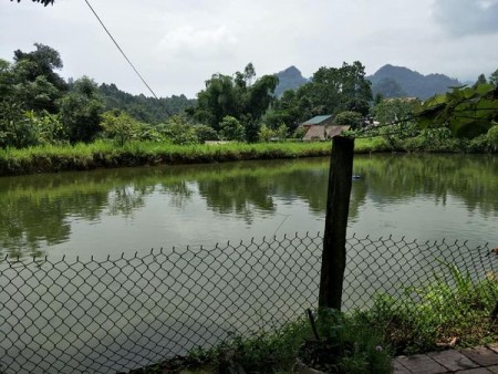 Bán nhà: Số 8, ngõ 1, phố Mỹ Sơn 2, khối 8, phường Vĩnh Trại, TP. Lạng Sơn