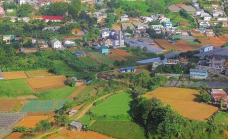 ĐẤT ĐẦU TƯ ĐỂ XÂY DỰNG HOMESTAY SAO MAI