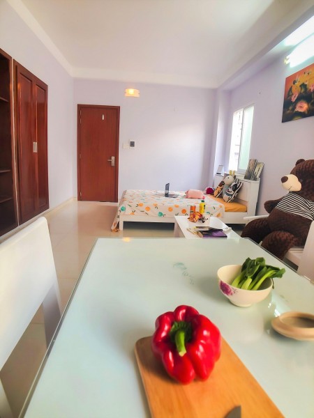 Chung cư mini cho thuê giá siêu rẻ ưu đãi siêu khủng tại trung tâm Quận Tân Bình