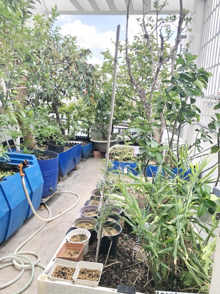 Đi đến slide 6