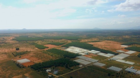 Đi đến slide 5