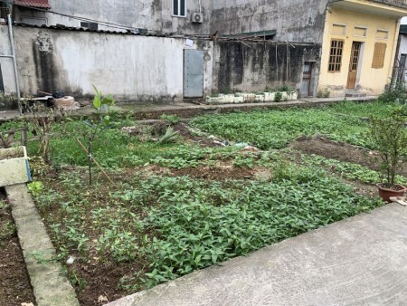 Cần bán 52m2 đất Làng Vàng, Cổ Bi, gần đường ô tô tránh, ngõ ô tô nhỏ vào được