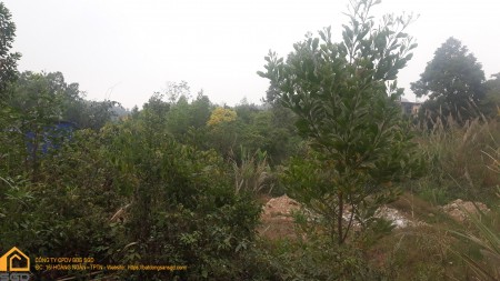 Đi đến slide 7