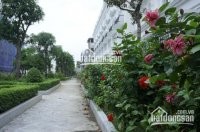 Nhà tại đường Hoàng Mai mặt tiền 4 m, 50m2 xây kiên cố 4 tầng, Ngõ rộng ôtô tránh nhau, 4,5 tỷ
