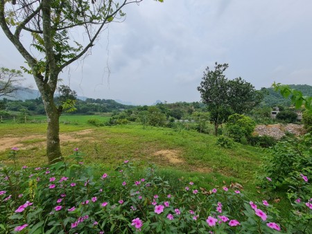 Đi đến slide 7