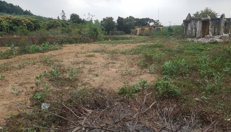 Cần bán đất ở và vườn lâu năm 2500m giá rẻ