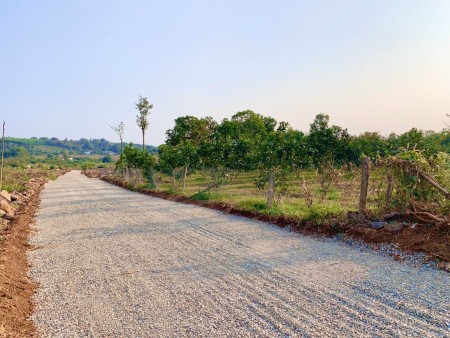 Bán lô đất ĐÓN đầu KCN 480ha Phước Bình, diện tích 1000m2, 2.5tr/m2
