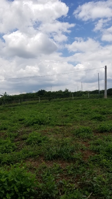 Bán gấp ¼ xào đường gần hồ Lộc Thanh, có 100m2 thổ cư, giá 780tr