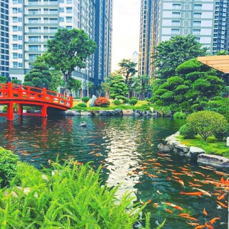 Đi đến slide 7