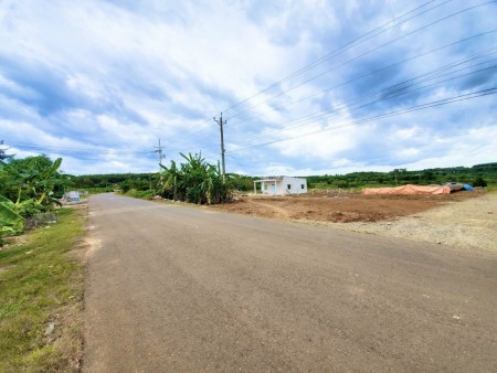 Bán đất làm kho xưởng, Đầu tư đất 1000m2 ngay nhà máy găng tay Phước Bình, dân cư hiện hữu giá mềm
