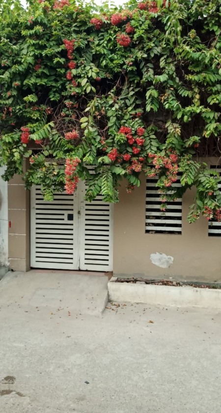 Cho thuê nhà nguyên căn thành phố thủ Đức