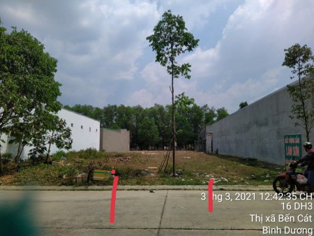 ĐẤT BỎ KHÔNG LÂU NĂM CẦN TÌM NGƯỜI CÓ THIỆN CHÍ THUÊ