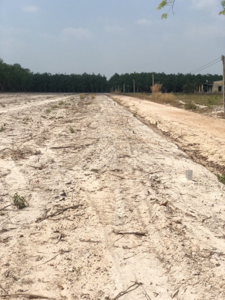 ĐẤT THẬT, SỔ THÂT 1200M2 TẠI TÂN CHÂU, TÂY NINH CHỈ 640 TRIÊU.