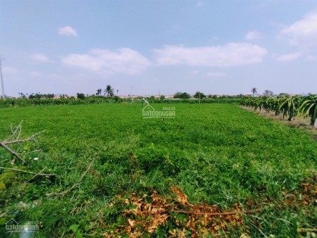 Bán 1400m2 đất khu dân cư biển hoà thắng ,lên thổ cư giá 1,4 tr/m2
