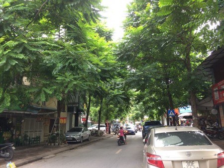 Cho thuê nhà mặt phố Phan Kế Bính, Q.Ba Đình