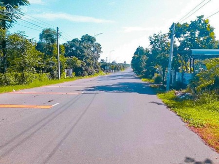 Đất SKC+ ONT Long Thành xây dựng, kinh doanh ngay sau 15 ngày