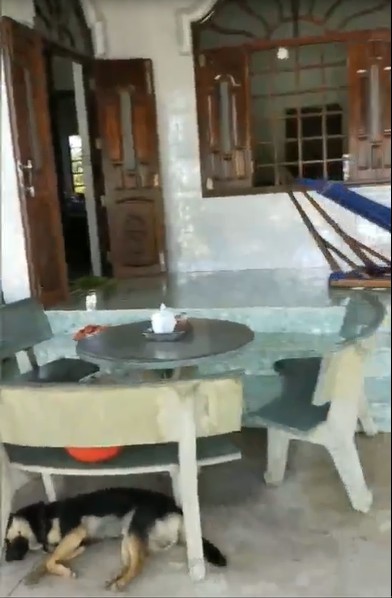 Đi đến slide 3