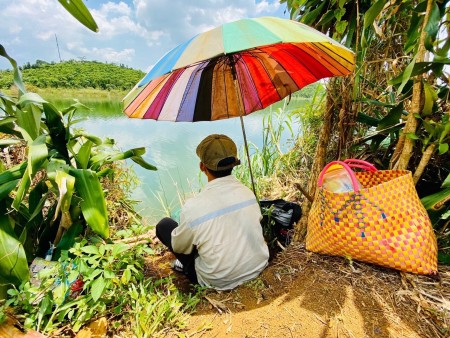 Đi đến slide 3