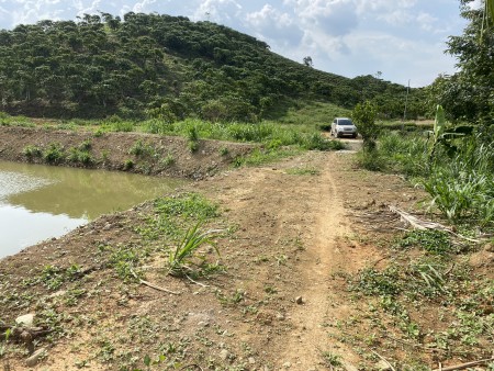 Đi đến slide 6