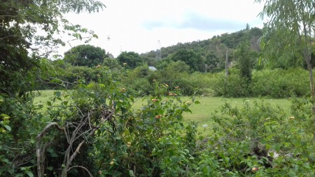 Bán đất tổ dân phố Sơn Long, Ba Ngòi, Cam Ranh Khánh Hòa 2ha
