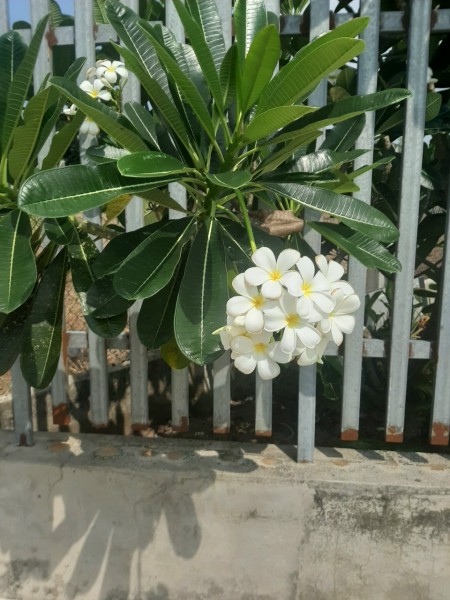 Đi đến slide 5