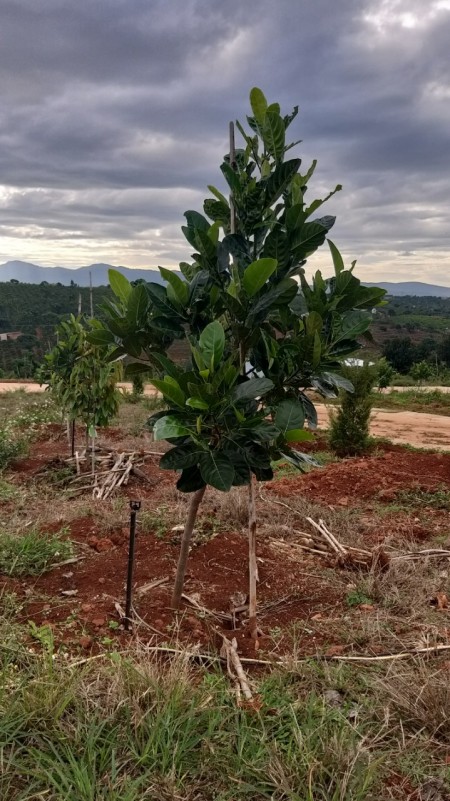 Đi đến slide 19