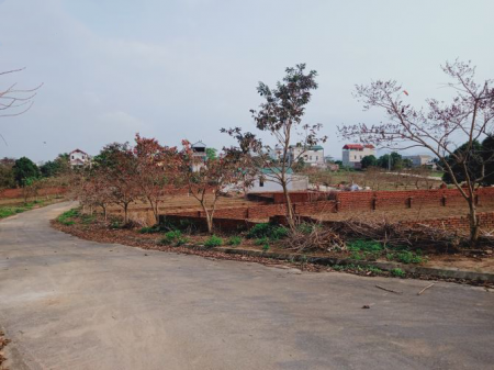 PHÂN KHU PHÚ CÁT HỒ VAI RÉO KINH DOANH ĐỈNH AN SINH ĐỈNH LH 0376068418