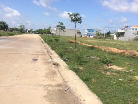 Chính Chủ Cần Bán Gấp 1000m2 Đất Chơn Thành, Đường Nhựa 16m, Giá chỉ 700k/m2