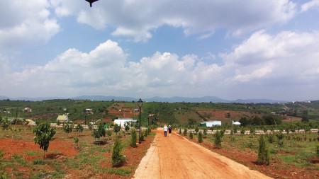 Đi đến slide 5