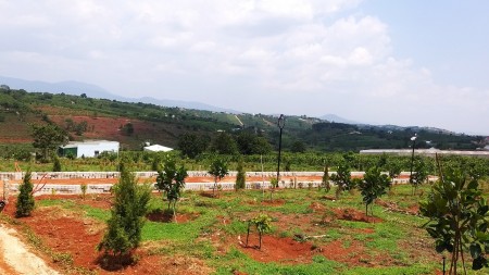 Đi đến slide 7