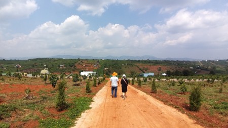 ĐẤT PHÂN LÔ XÃ NAM HÀ LÂM HÀ, giá sản phẩm gồm VƯỜN+ THỔ CƯ+ CÂY ĂN TRÁI