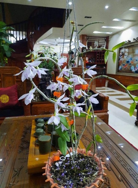 CHÙA BỘC, ĐỐNG ĐA, PHÂN LÔ, 40M, 4 TẦNG, MẶT TIỀN 4M, GIÁ 5.45 TỶ