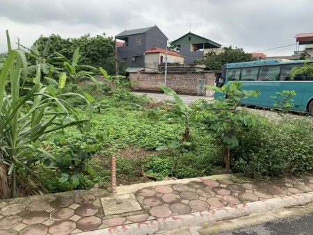 Bán đất đấu giá xóm 4 Đông Dư, đường ô tô, vỉa hè rộng, giá chỉ 42tr.