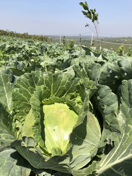 Đi đến slide 8
