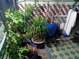 Bán Nhà HXH An Dương Vương Quận 6 D T60m2 giá chỉ 3.9 tỷ