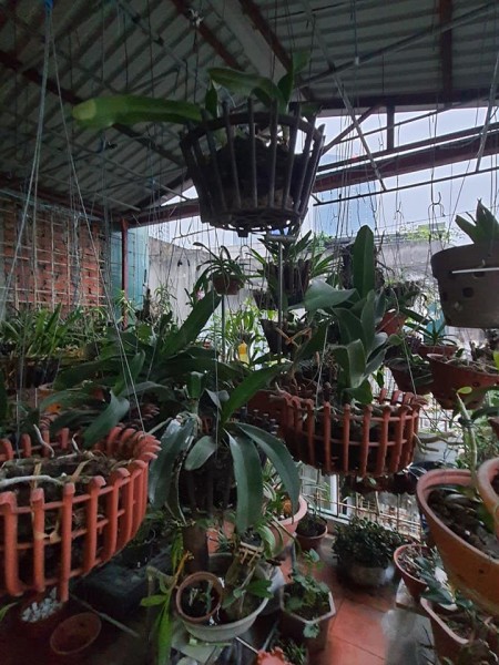 Đi đến slide 8